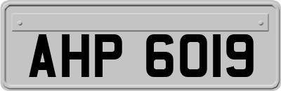 AHP6019