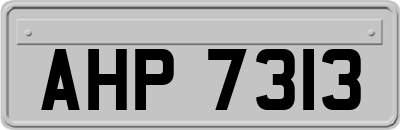 AHP7313