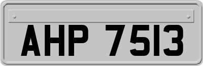 AHP7513