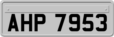 AHP7953