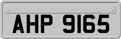 AHP9165