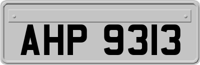 AHP9313