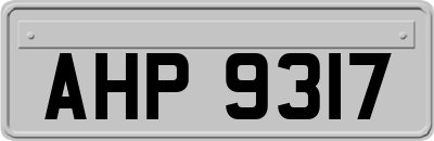 AHP9317