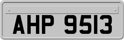 AHP9513