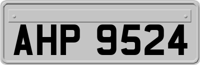 AHP9524