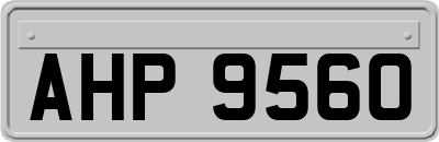 AHP9560