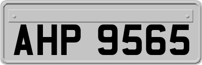 AHP9565