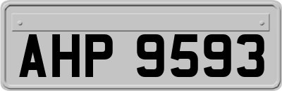 AHP9593