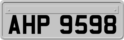 AHP9598