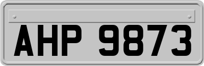 AHP9873