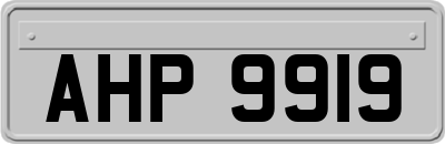 AHP9919