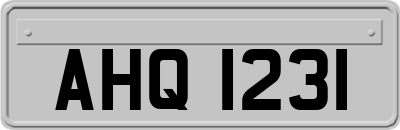 AHQ1231