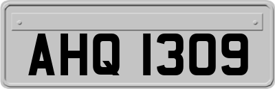 AHQ1309