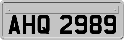 AHQ2989
