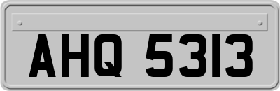 AHQ5313