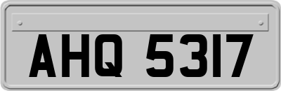 AHQ5317