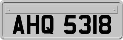 AHQ5318