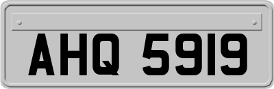 AHQ5919