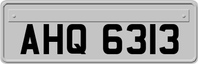 AHQ6313