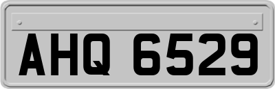 AHQ6529