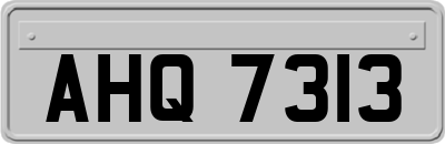 AHQ7313