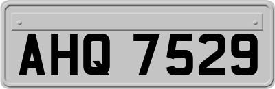 AHQ7529