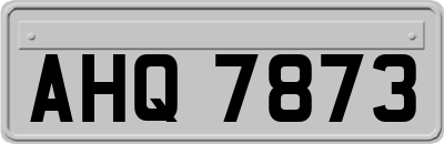 AHQ7873