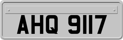 AHQ9117