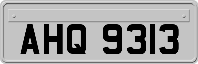 AHQ9313