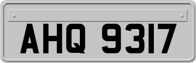 AHQ9317