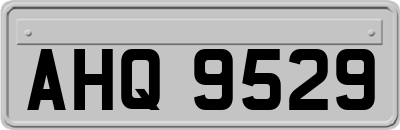 AHQ9529