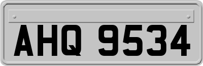 AHQ9534