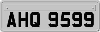 AHQ9599
