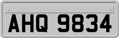 AHQ9834