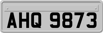 AHQ9873