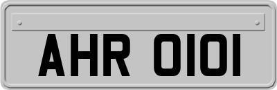 AHR0101