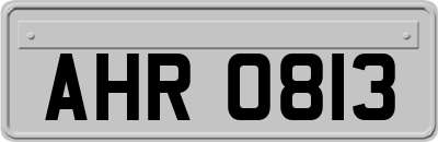 AHR0813