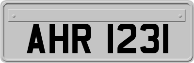 AHR1231