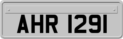 AHR1291