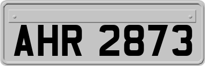 AHR2873