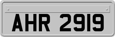 AHR2919