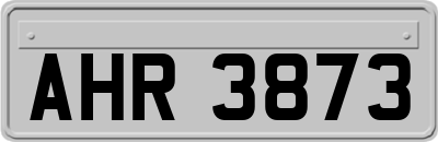 AHR3873