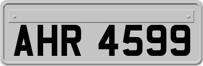AHR4599