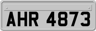 AHR4873