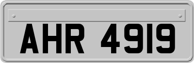 AHR4919