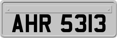 AHR5313