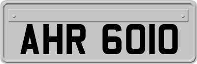 AHR6010