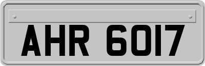 AHR6017
