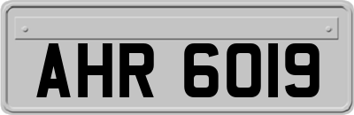 AHR6019
