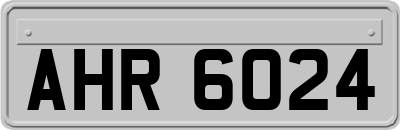 AHR6024